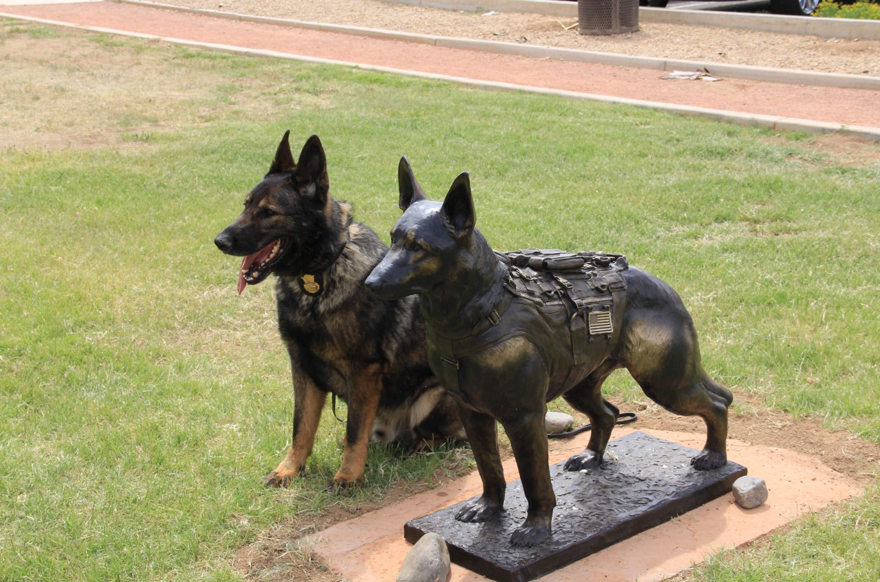 Protection Dogs vs. Guard Dogs